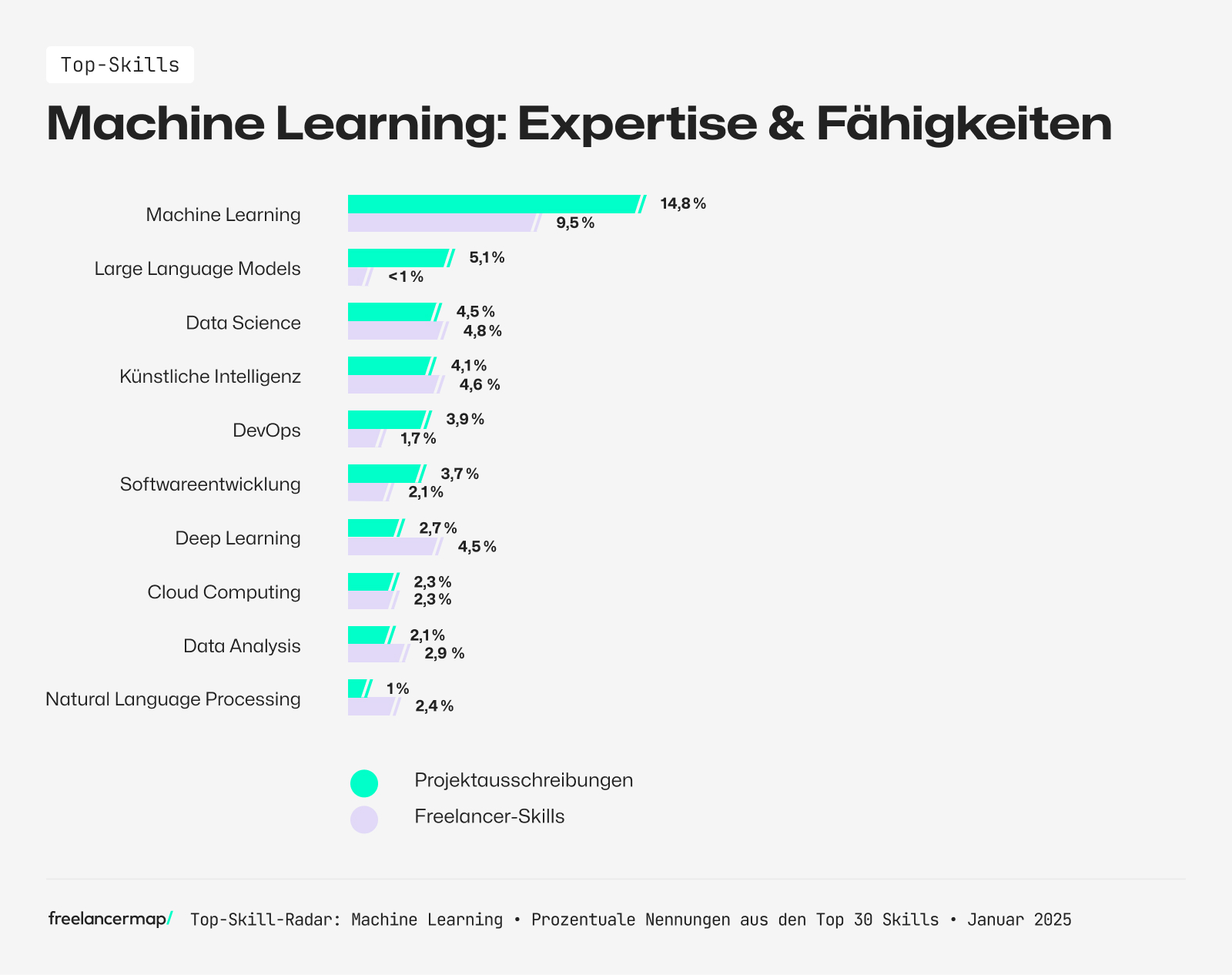 Fähigkeiten Expertise Machine Learning Engineer